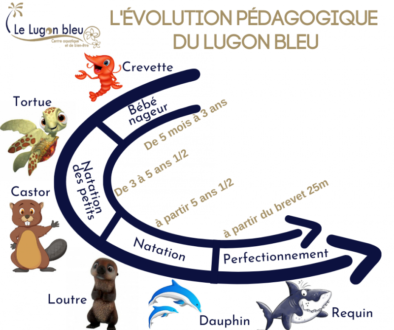 evolution pédagogique du Lugon bleu près de saint-andré de cubzac
